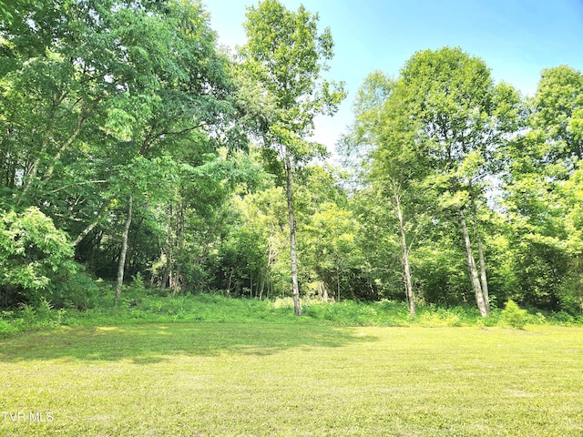 2428 Middle Creek Rd, Afton, TN 37616 - view of woods