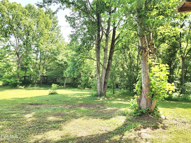 2428 Middle Creek Rd, Afton, TN 37616 - view of green lawn