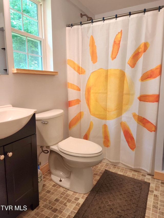 2428 Middle Creek Rd, Afton, TN 37616 - full bathroom featuring toilet, vanity, baseboards, and a shower with curtain