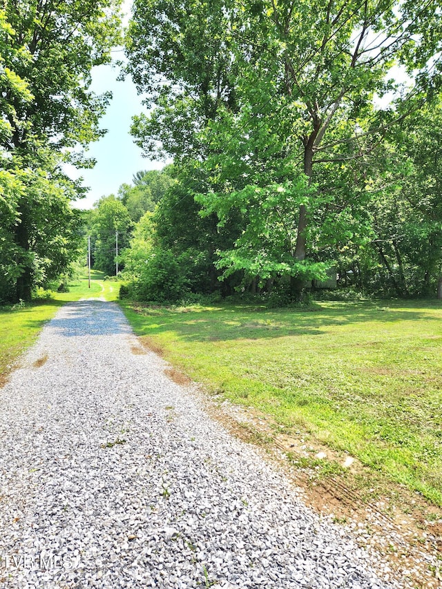 2428 Middle Creek Rd, Afton, TN 37616 - view of road