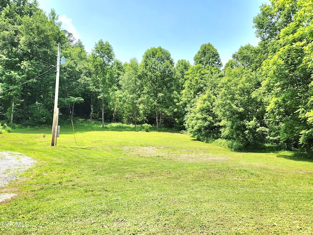 2428 Middle Creek Rd, Afton, TN 37616 - view of grassy yard
