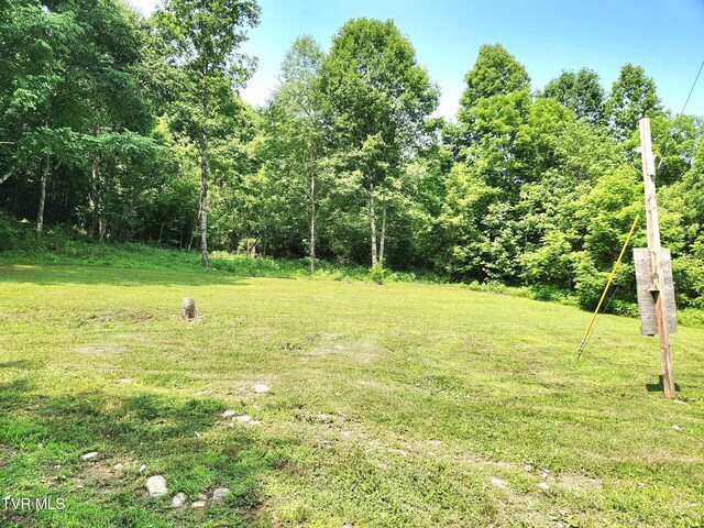 2428 Middle Creek Rd, Afton, TN 37616 - view of grassy yard