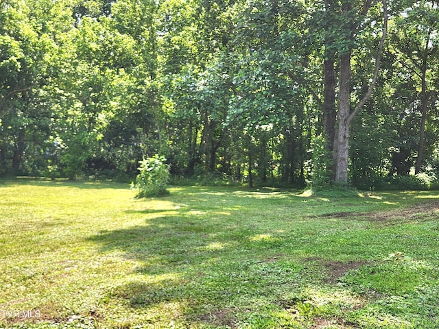 2428 Middle Creek Rd, Afton, TN 37616 - view of green lawn