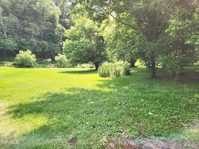 2428 Middle Creek Rd, Afton, TN 37616 - view of grassy yard