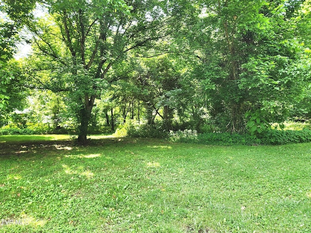 2428 Middle Creek Rd, Afton, TN 37616 - view of grassy yard