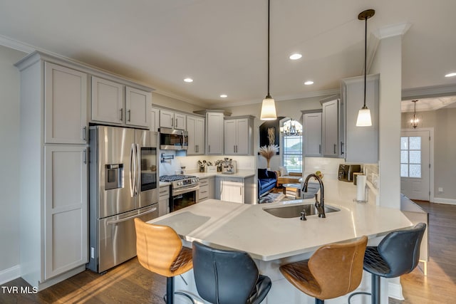1132 Panoramic Vis, Gray, TN 37615 - kitchen featuring appliances with stainless steel finishes, crown molding, a peninsula, gray cabinets, and plenty of natural light