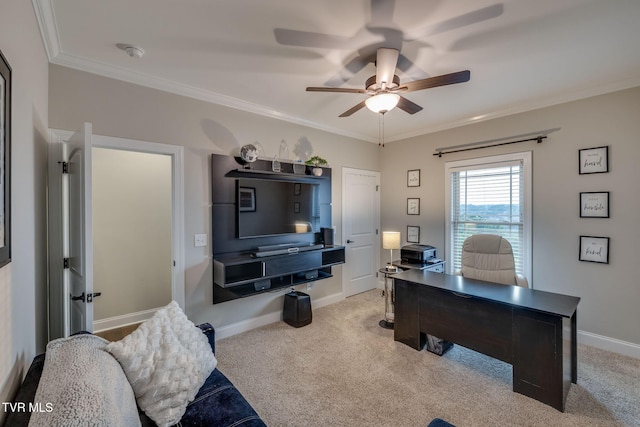 1132 Panoramic Vis, Gray, TN 37615 - office area with ceiling fan, carpet floors, and crown molding