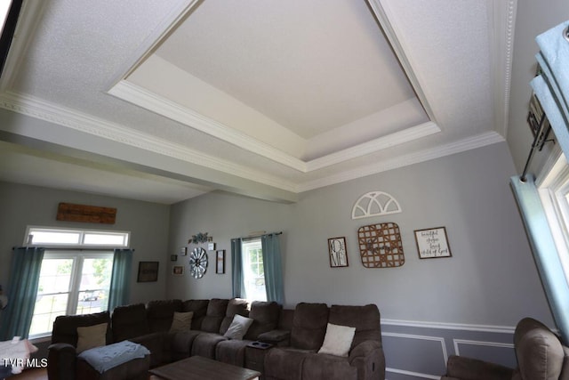 21164 Vances Mill Rd, Abingdon, VA 24211 - living room with a raised ceiling, healthy amount of natural light, and ornamental molding