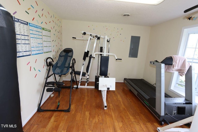 21164 Vances Mill Rd, Abingdon, VA 24211 - workout room with electric panel, wood finished floors, baseboards, and a textured ceiling