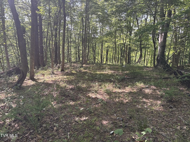 TBD Skeetrock Rd, Clintwood, VA 24228