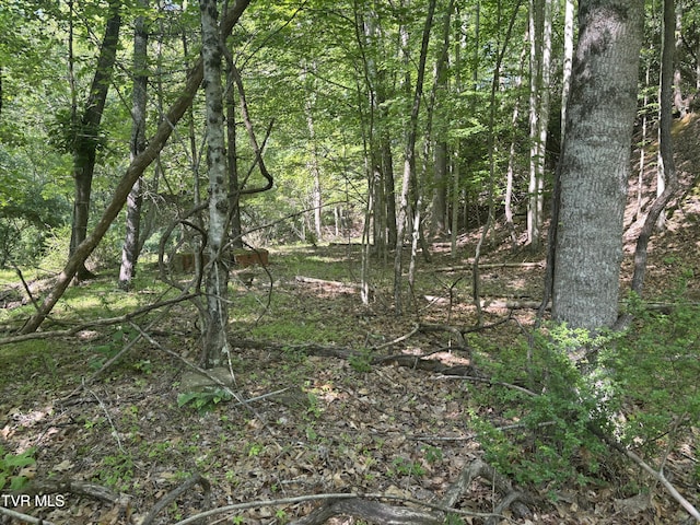 TBD Skeetrock Rd, Clintwood, VA 24228