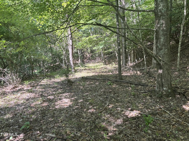 TBD Skeetrock Rd, Clintwood, VA 24228