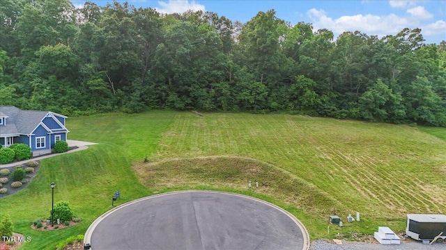 Tbd Morning Glory Terrace, Johnson City, TN 37615 - photo 1