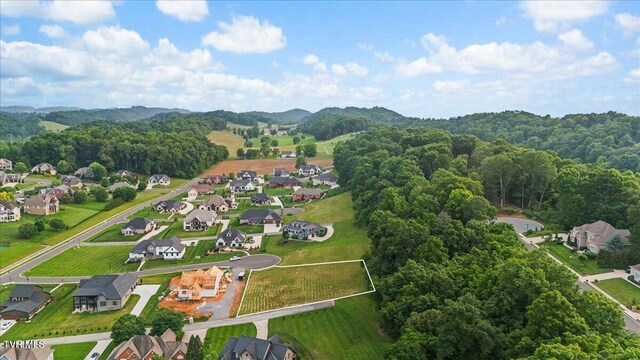 Tbd Morning Glory Terrace, Johnson City, TN 37615 - photo 20