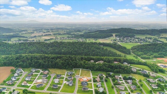 Tbd Morning Glory Terrace, Johnson City, TN 37615 - photo 38