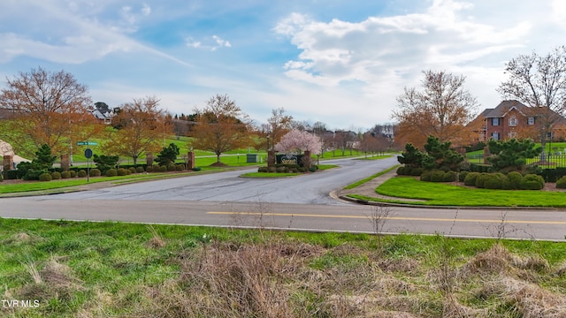 Tbd Morning Glory Terrace, Johnson City, TN 37615 - photo 2