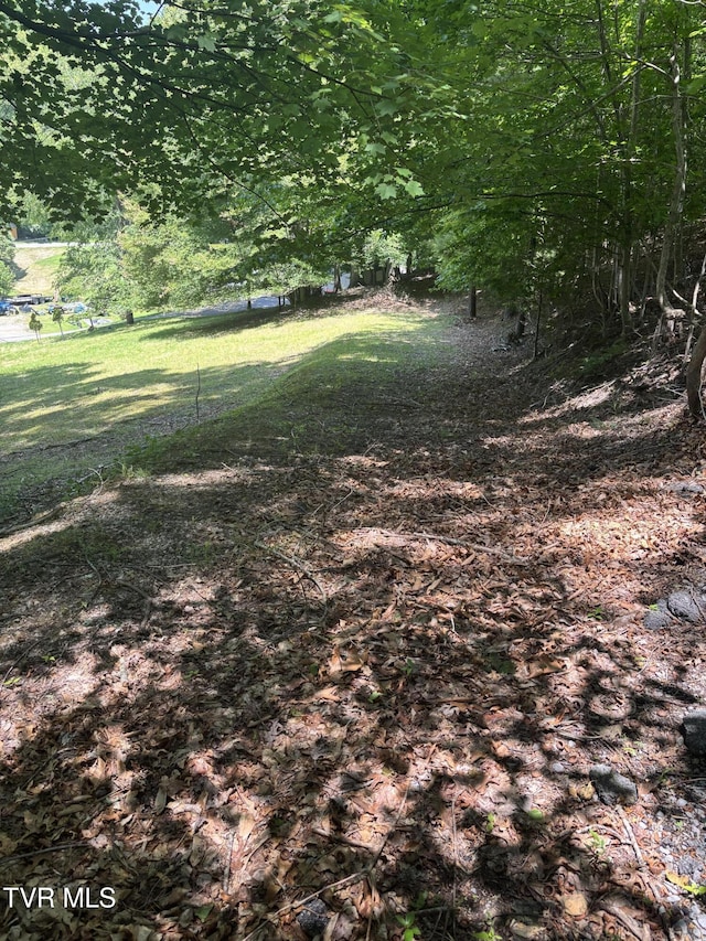 275 Friend St, Clintwood, VA 24228 - photo 2