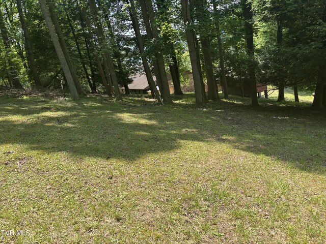 275 Friend St, Clintwood, VA 24228 - photo 5
