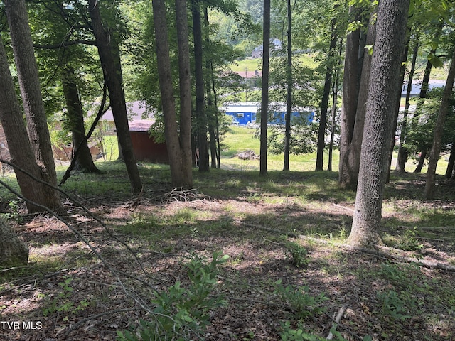 275 Friend St, Clintwood, VA 24228 - photo 6