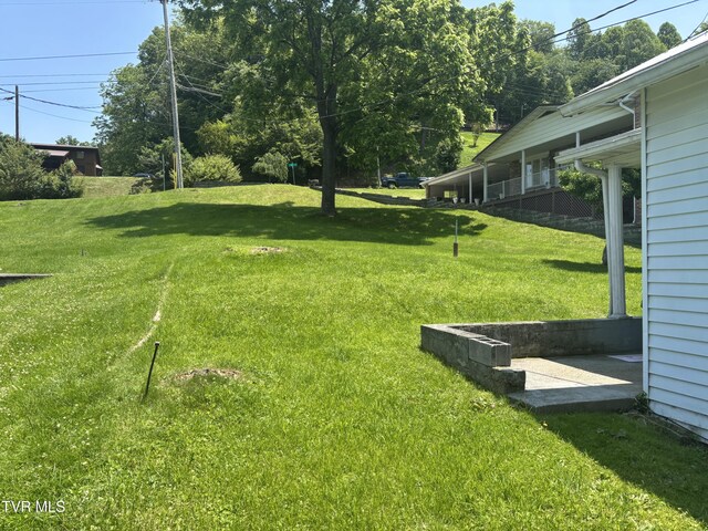 181 Powerhouse Holw, Clintwood, VA 24228 - view of green lawn