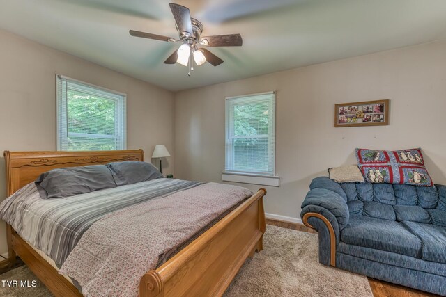 240 Watson Rd, Bristol, TN 37620 - bedroom featuring multiple windows, ceiling fan, and baseboards