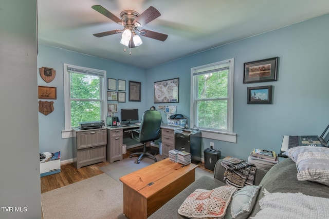 240 Watson Rd, Bristol, TN 37620 - office featuring wood finished floors, healthy amount of natural light, ceiling fan, and baseboards