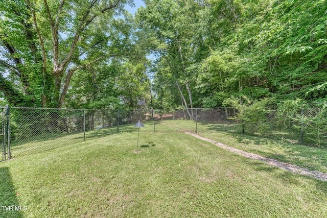 240 Watson Rd, Bristol, TN 37620 - view of yard