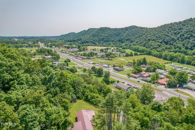240 Watson Rd, Bristol, TN 37620 - drone / aerial view of a forest