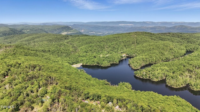 4406 Sentry Rd, Big Stone Gap, VA 24219 - drone / aerial view of a forest and a water and mountain view