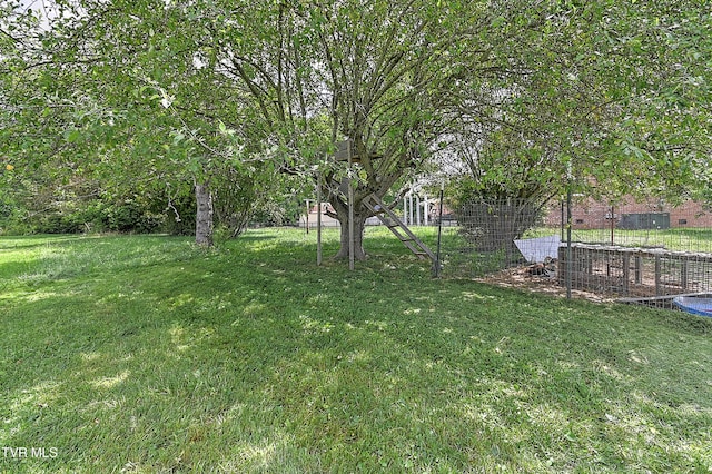 509 9th St, Erwin, TN 37650 - view of green lawn