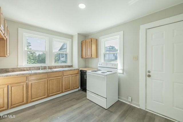 457 E Bernard Ave, Greeneville, TN 37745 - photo 7
