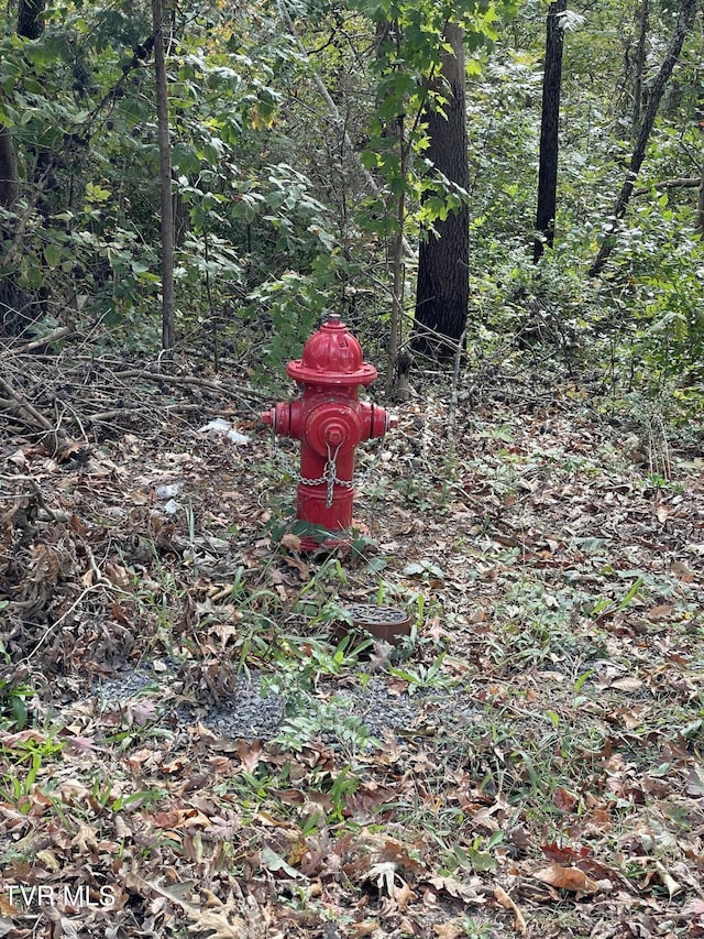 453 Statem Gap Rd, Morristown, TN 37813