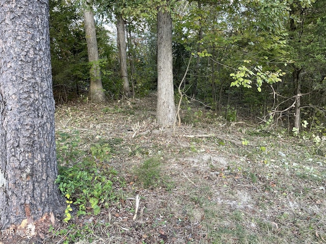 453 Statem Gap Rd, Morristown, TN 37813