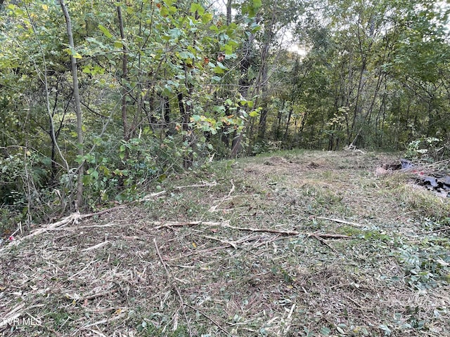453 Statem Gap Rd, Morristown, TN 37813
