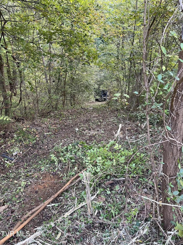 453 Statem Gap Rd, Morristown, TN 37813