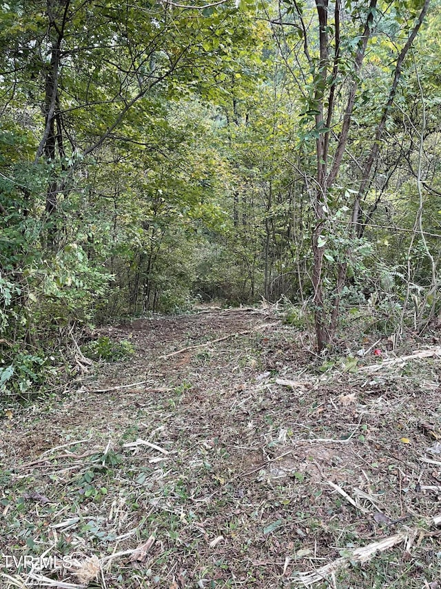 453 Statem Gap Rd, Morristown, TN 37813
