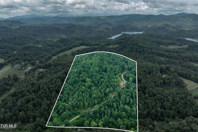 2867 Dry Hill Rd, Butler, TN 37640 - photo 4