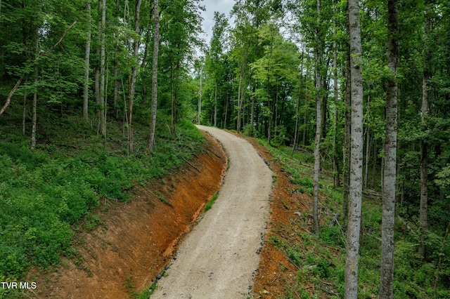 2867 Dry Hill Rd, Butler, TN 37640 - photo 21