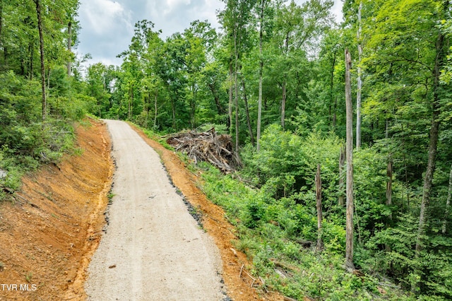 2867 Dry Hill Rd, Butler, TN 37640 - photo 22