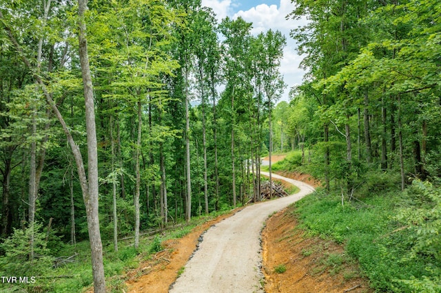 2867 Dry Hill Rd, Butler, TN 37640 - photo 24