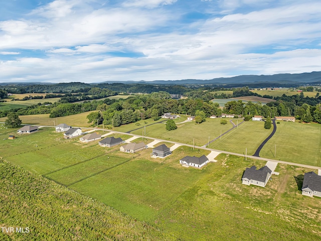 305 Greenwood Rd, Afton, TN 37616 - photo 53