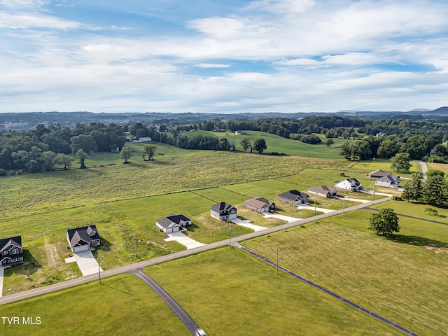 305 Greenwood Rd, Afton, TN 37616 - photo 54