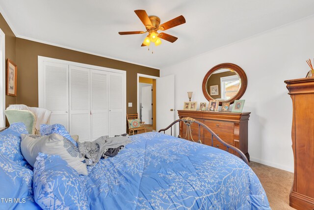 80 Westbrook Dr, Greeneville, TN 37743 - photo 34