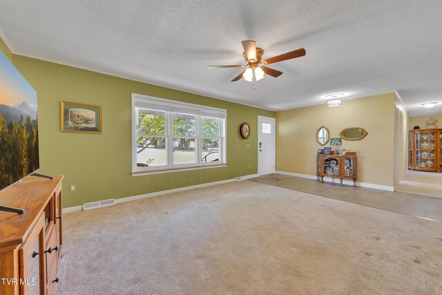 80 Westbrook Dr, Greeneville, TN 37743 - photo 28