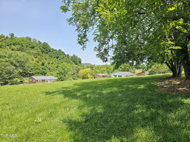 515 Chuckey Pike, Chuckey, TN 37641 - view of yard featuring a view of trees and a rural view