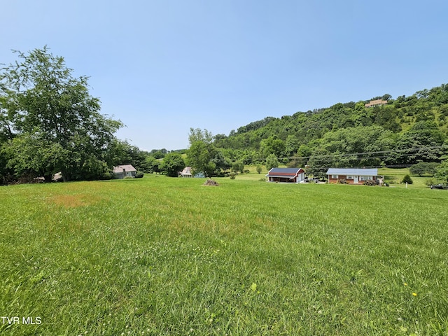 515 Chuckey Pike, Chuckey, TN 37641 - view of green lawn featuring a view of trees