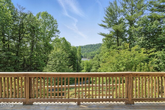 2210 Norris Rd, Butler, TN 37640 - photo 3