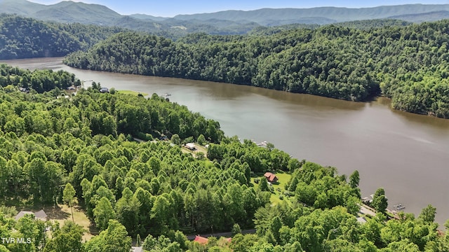 2210 Norris Rd, Butler, TN 37640 - photo 29