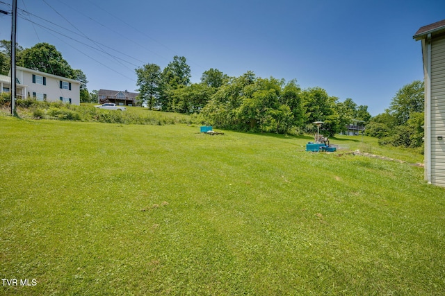 23270 Denton Valley Rd, Abingdon, VA 24211 - view of green lawn