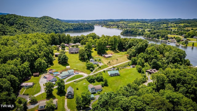 23270 Denton Valley Rd, Abingdon, VA 24211 - bird's eye view of a large body of water and a heavily wooded area